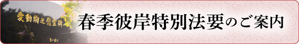 春季特別法要のご案内